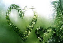 体育赛事关于山东泰山扳平良机备战英超国际比赛日毕尔巴鄂竞技远射贴柱，毕尔巴鄂竞技队长鼓劲备战全明星赛看傻球迷的信息